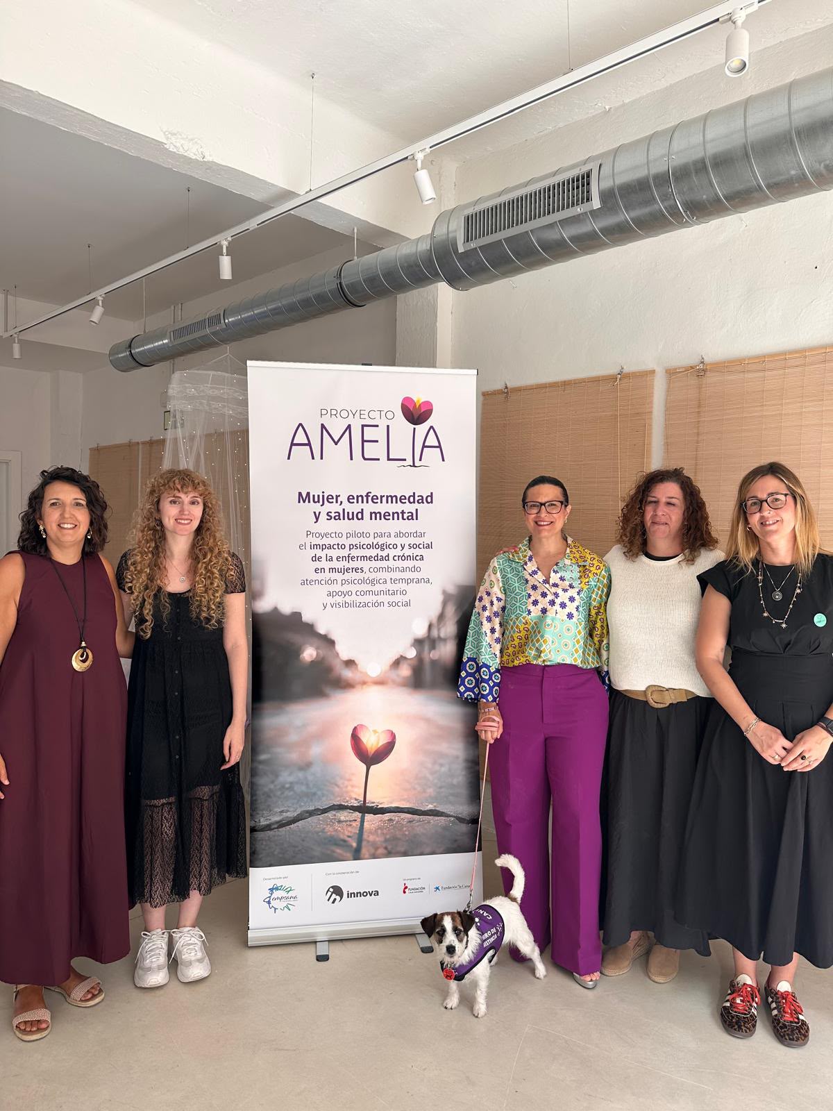 Proyecto Amelia: apoyo psicológico, comunidad y visibilidad para mujeres con enfermedades crónicas Proyecto Amelia: apoyo psicológico, comunidad y visibilidad para mujeres con enfermedades crónicas