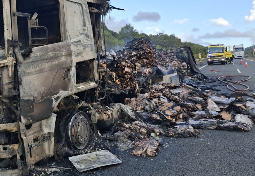 Retiran 25 toneladas de pulpo podrido de una carretera andaluza tras 26 días en el asfalto Retiran 25 toneladas de pulpo podrido de una carretera andaluza tras 26 días en el asfalto