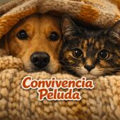 Convivencia Peluda