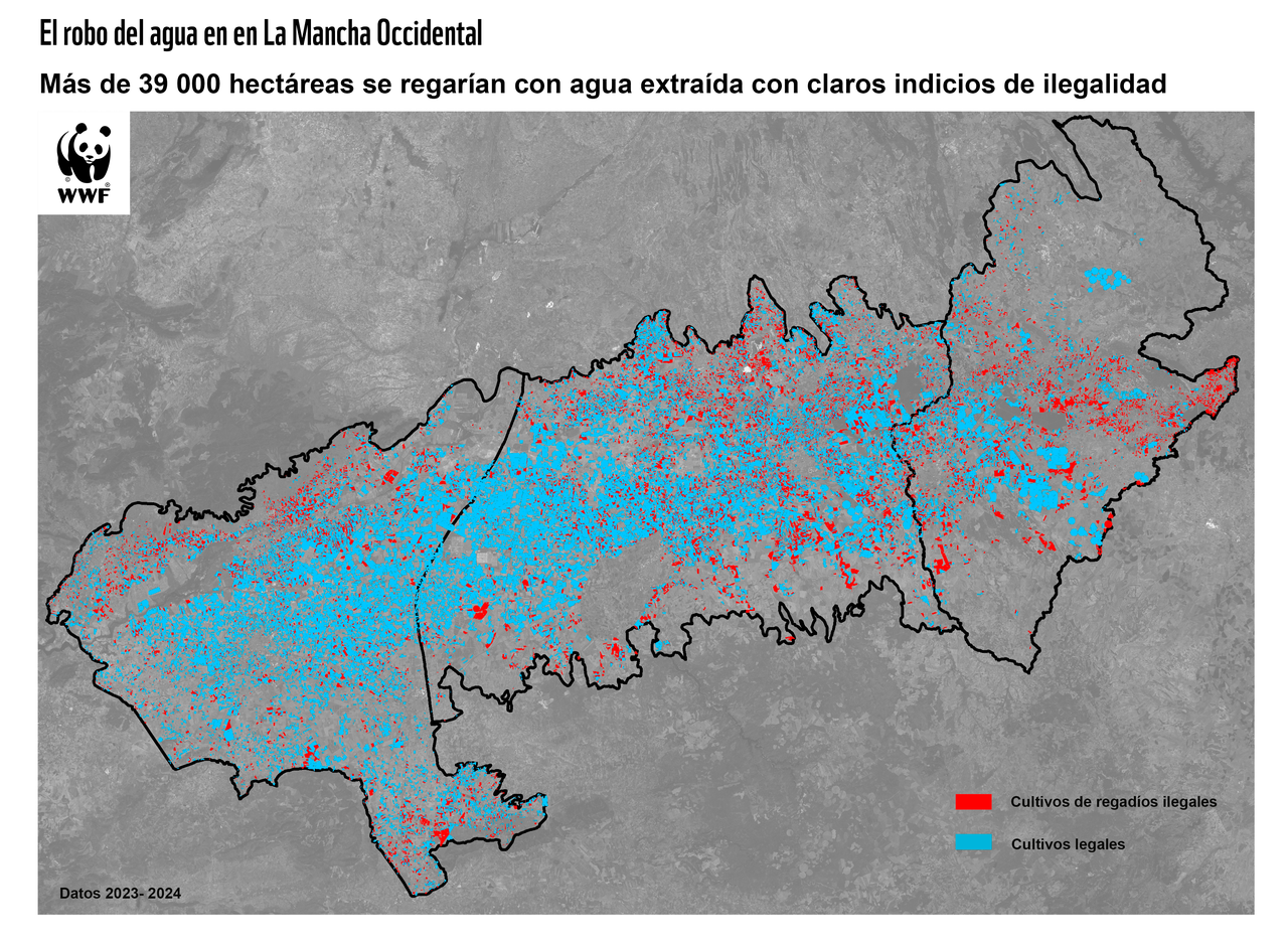 Más de 39.000 hectáreas se riegan en el Alto Guadiana con aguas subterráneas con indicios de ilegalidad Más de 39.000 hectáreas se riegan en el Alto Guadiana con aguas subterráneas con indicios de ilegalidad