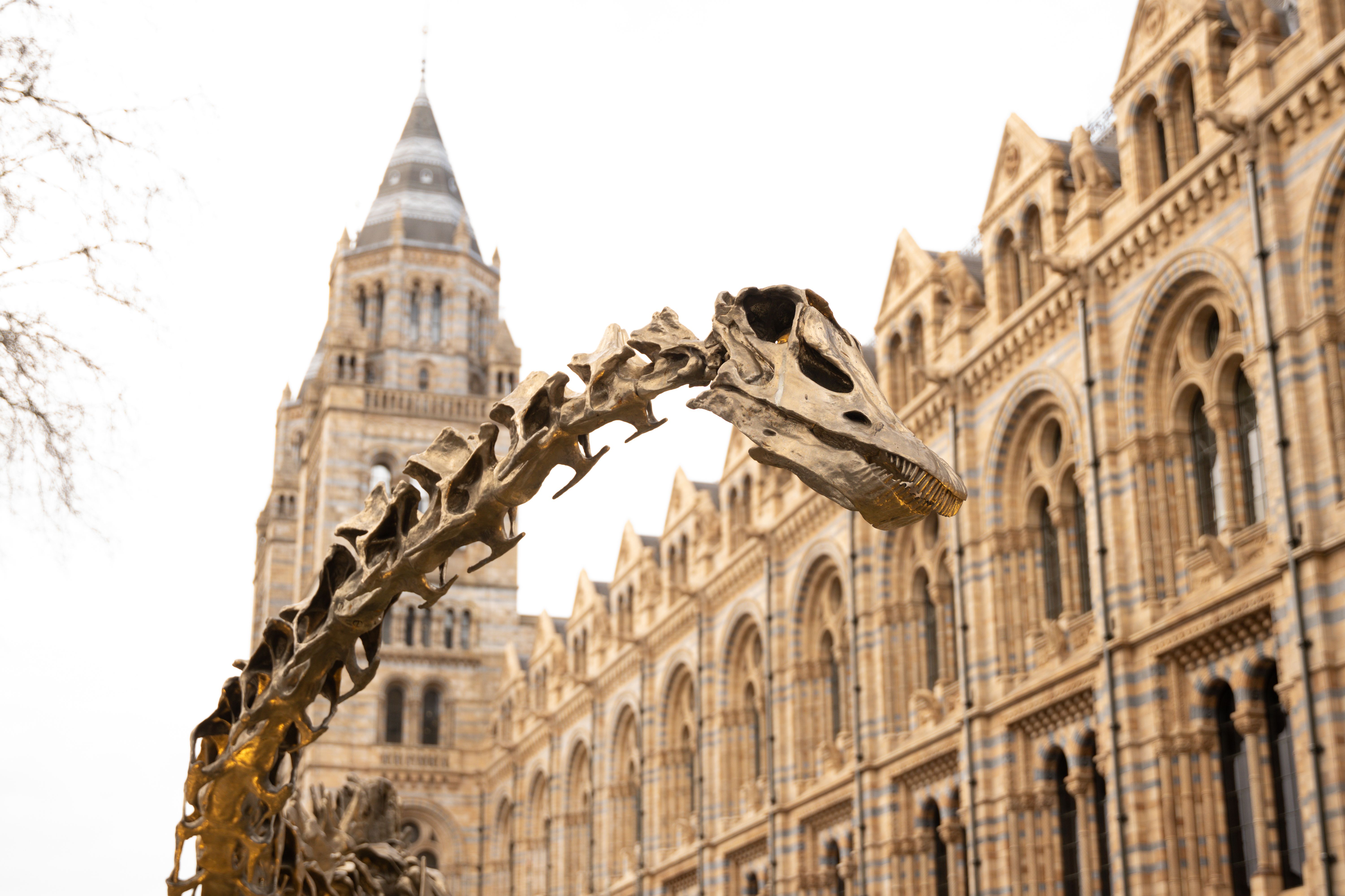 La Voyager de Aparici: Los diplodocus de Teruel  también existen