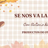 Se nos va la olla