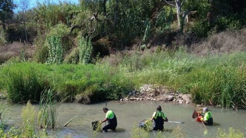 Trabajadores retiran manualmente los peces muertos del Magro