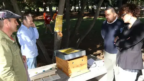 La VII Feria Apícola de Castilla y León convierte Palencia en punto de encuentro de la apicultura los días 26 y 27 de septiembre .