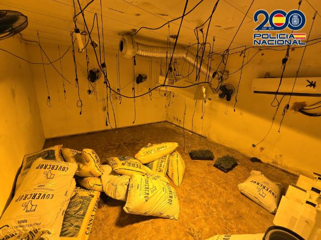 Detenidas 14 personas de dos entramados familiares por tráfico de drogas en El Puche Detenidas 14 personas de dos entramados familiares por tráfico de drogas en El Puche