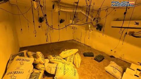 Detenidas 14 personas de dos entramados familiares por tráfico de drogas en El Puche Detenidas 14 personas de dos entramados familiares por tráfico de drogas en El Puche