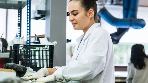 La UCLM logra financiación estatal para incorporar a ocho jóvenes doctores durante tres años La UCLM logra financiación estatal para incorporar a ocho jóvenes doctores durante tres años