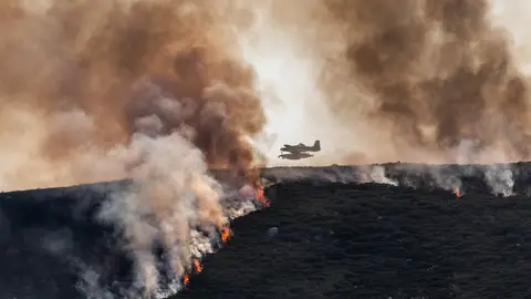 El Plan Infoex interviene en 31 incendios forestales en la última semana El Plan Infoex interviene en 31 incendios forestales en la última semana