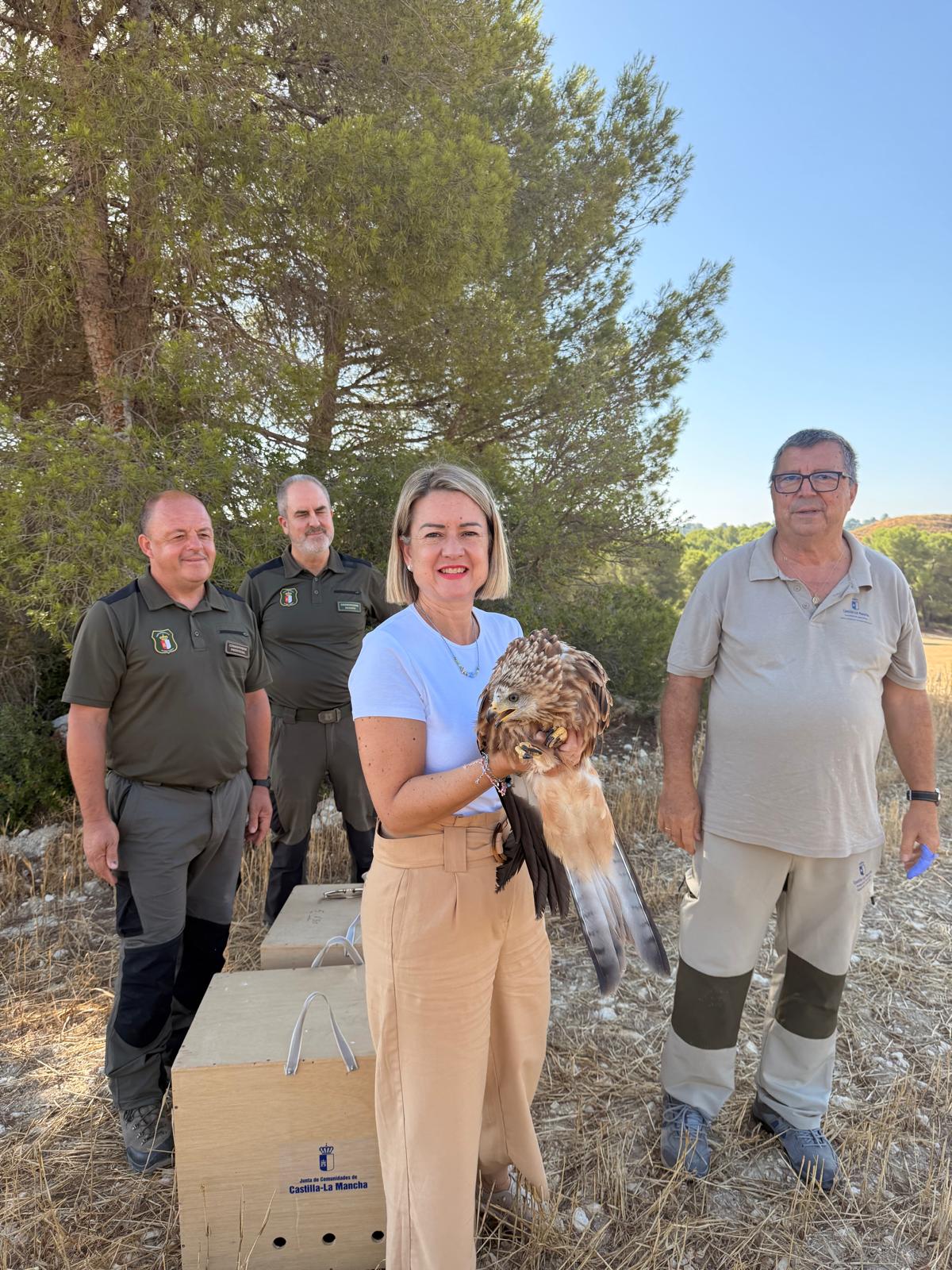 Recuperados en Albacete dos pollos de milano real, una especie en peligro de extinción Recuperados en Albacete dos pollos de milano real, una especie en peligro de extinción