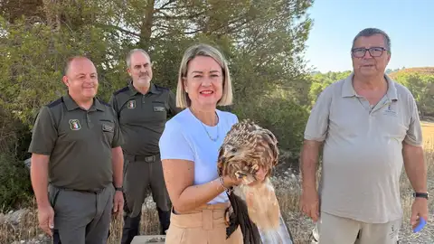Recuperados en Albacete dos pollos de milano real, una especie en peligro de extinción Recuperados en Albacete dos pollos de milano real, una especie en peligro de extinción