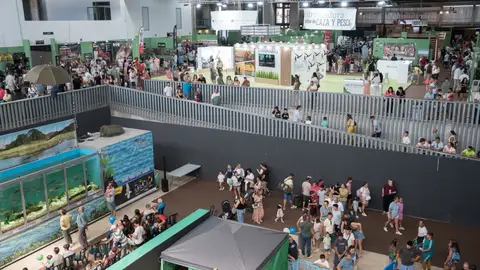Feciex cierra una nueva edición marcada por la "gran afluencia" de público y una "amplia" participación profesional Feciex cierra una nueva edición marcada por la "gran afluencia" de público y una "amplia" participación profesional