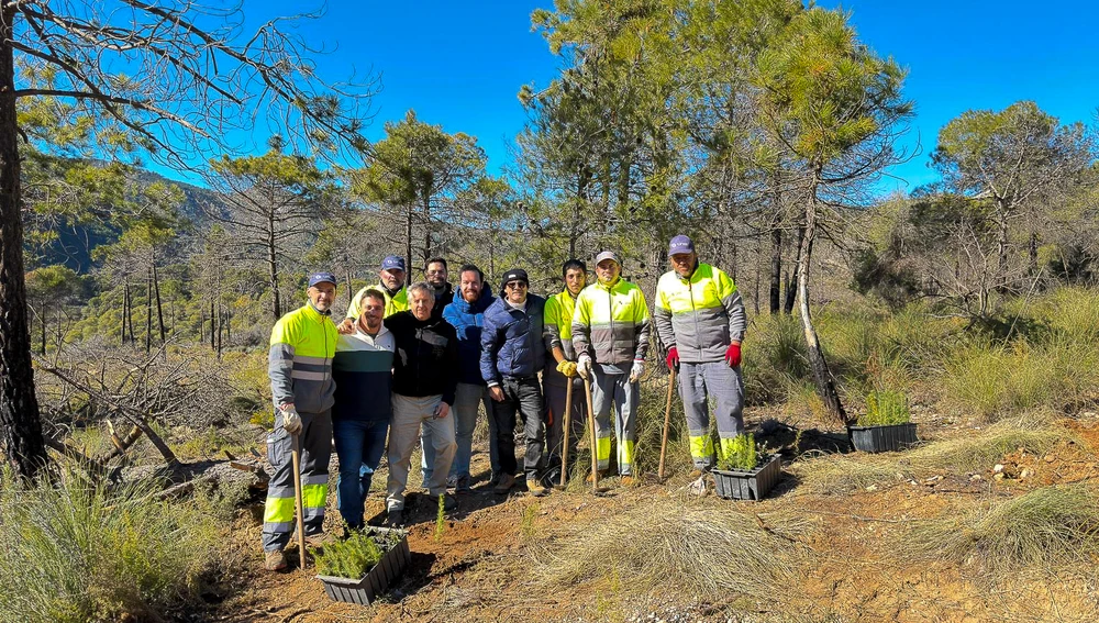 Reforestación en el paraje afectado por el incendio forestal de la Sierra de los Guajares Reforestación en el paraje afectado por el incendio forestal de la Sierra de los Guajares