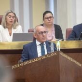 Ramiro González, Diputado General de Álava