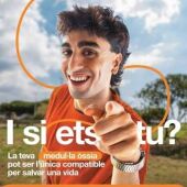 Campanya donació medul·la òssia