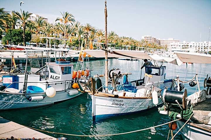 Miguel Tur: «La desestacionalización ya es una realidad y Sant Antoni está abierto casi 365 días al año» Miguel Tur: «La desestacionalización ya es una realidad y Sant Antoni está abierto casi 365 días al año»