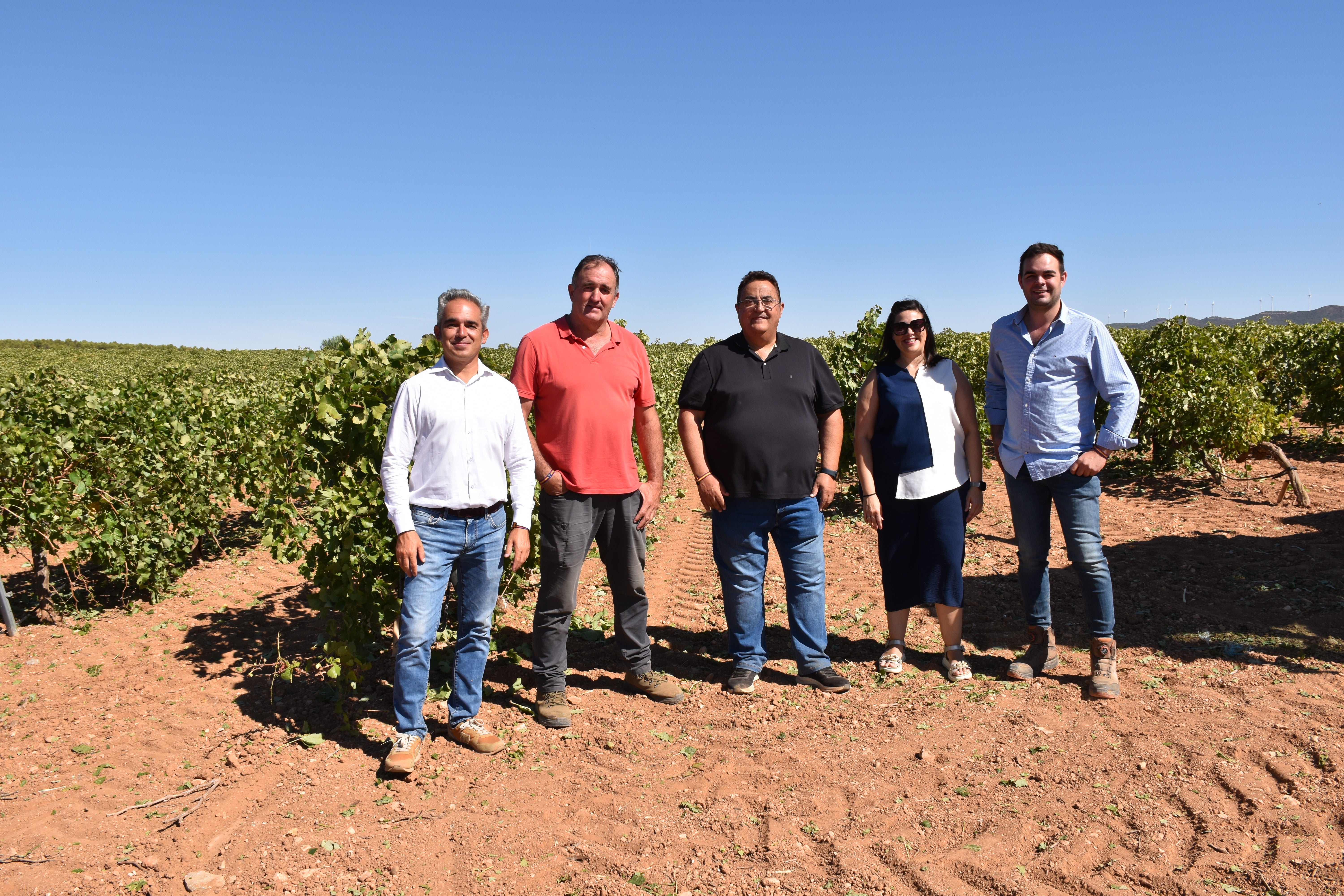 El Gobierno regional abona cerca de un millón de euros en los tres últimos pagos para la reestructuración del viñedo en Cuenca El Gobierno regional abona cerca de un millón de euros en los tres últimos pagos para la reestructuración del viñedo en Cuenca