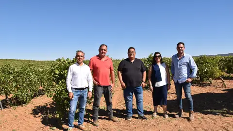 El Gobierno regional abona cerca de un millón de euros en los tres últimos pagos para la reestructuración del viñedo en Cuenca El Gobierno regional abona cerca de un millón de euros en los tres últimos pagos para la reestructuración del viñedo en Cuenca