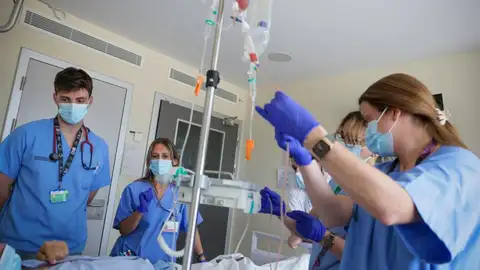 Castellón suma 150 nuevos donantes de médula ósea en 2026 y supera los registros de todo 2025 Castellón suma 150 nuevos donantes de médula ósea en 2026 y supera los registros de todo 2025