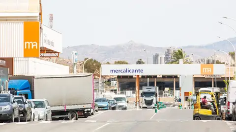 Mercalicante Mercalicante