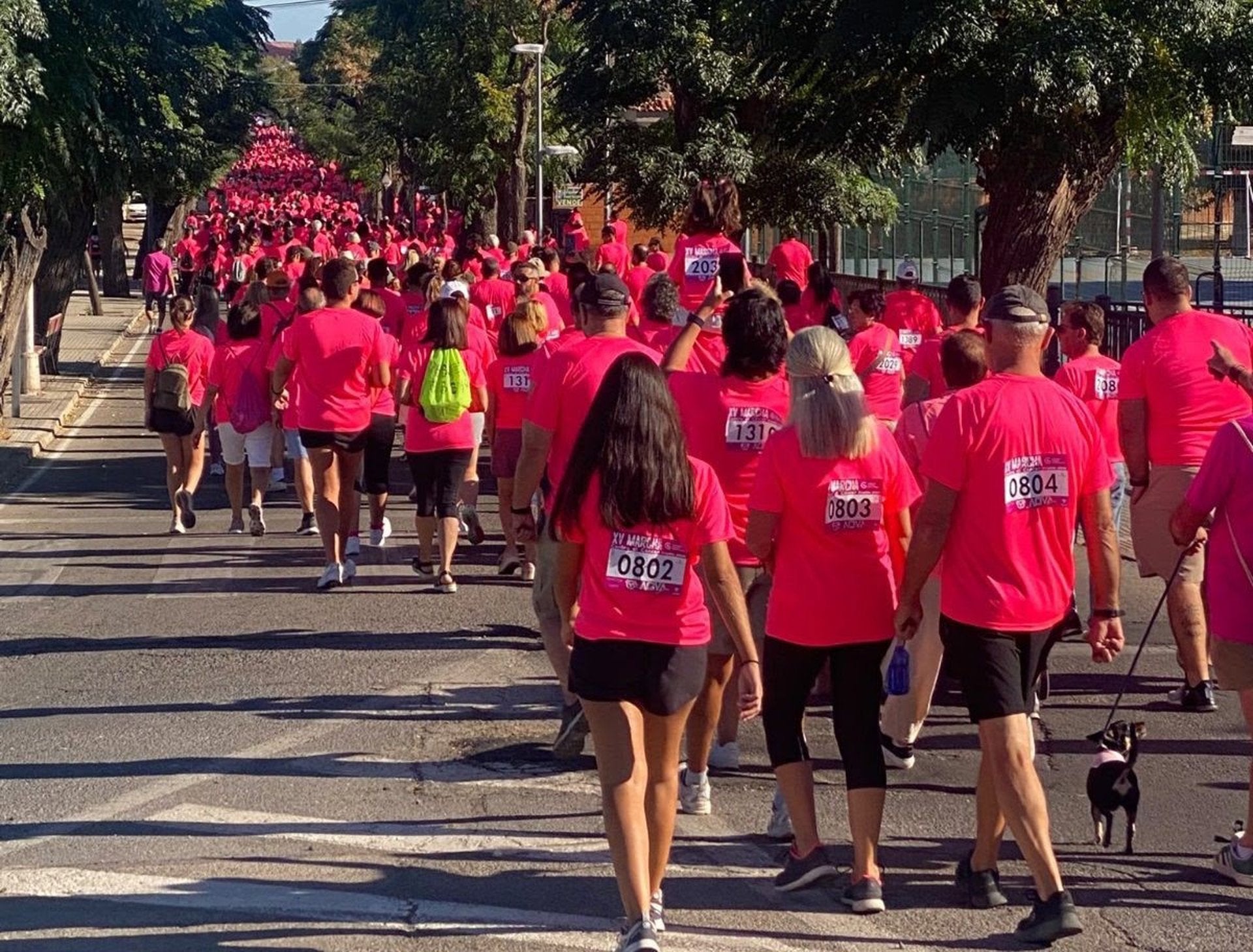 La AECC moviliza a 20.000 personas en las Marchas Rosas que impulsa en 110 localidades de la provincia de Cáceres La AECC moviliza a 20.000 personas en las Marchas Rosas que impulsa en 110 localidades de la provincia de Cáceres