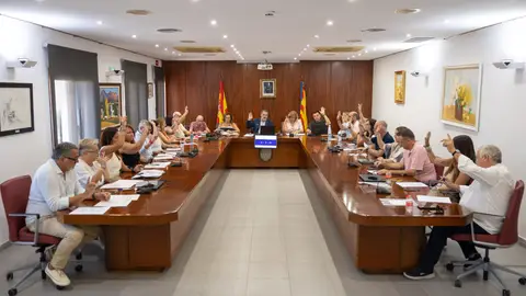 L’Alfàs del Pi aprueba en pleno el contrato para el mantenimiento de las cámaras de seguridad L’Alfàs del Pi aprueba en pleno el contrato para el mantenimiento de las cámaras de seguridad