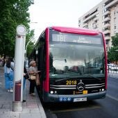El tranvibús llega al Duque con nueve nuevas paradas y cambios en varias líneas de Tussam 