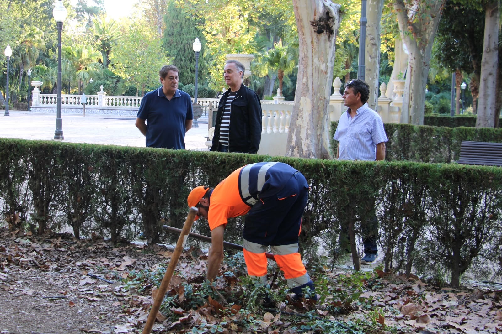 Castellón reutiliza los restos de poda de la ciudad para mejorar el suelo del Parque Ribalta Castellón reutiliza los restos de poda de la ciudad para mejorar el suelo del Parque Ribalta