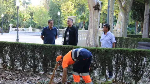 Castellón reutiliza los restos de poda de la ciudad para mejorar el suelo del Parque Ribalta Castellón reutiliza los restos de poda de la ciudad para mejorar el suelo del Parque Ribalta