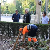 Castellón reutiliza los restos de poda de la ciudad para mejorar el suelo del Parque Ribalta Castellón reutiliza los restos de poda de la ciudad para mejorar el suelo del Parque Ribalta