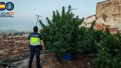 Operación antidroga en Puertollano Operación antidroga en Puertollano