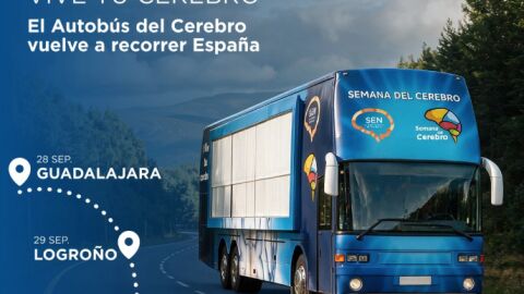 Autobús Cerebro Autobús Cerebro