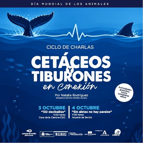 La Casa de la Ciencia y el Acuario de Sevilla se conectan por la conservación de cetáceos y tiburones La Casa de la Ciencia y el Acuario de Sevilla se conectan por la conservación de cetáceos y tiburones