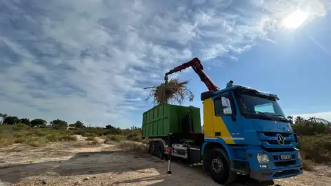 Trabajos de limpieza en el barranco de Santa Antón de Elche. Trabajos de limpieza en el barranco de Santa Antón de Elche.