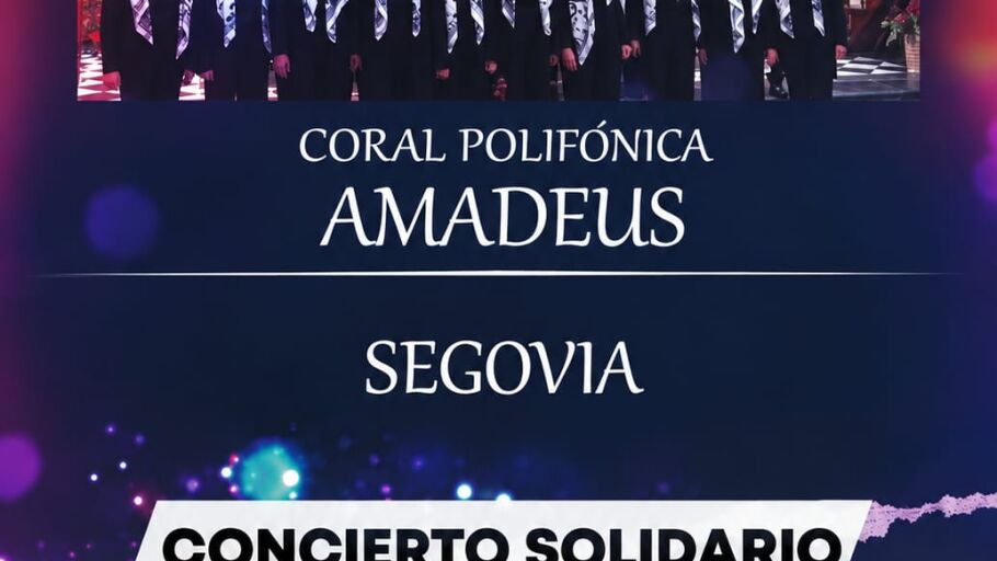 Amadeus ofrece un concierto solidario a beneficio de la Fundaci&oacute;n Anar este jueves en la sala Caja Segovia