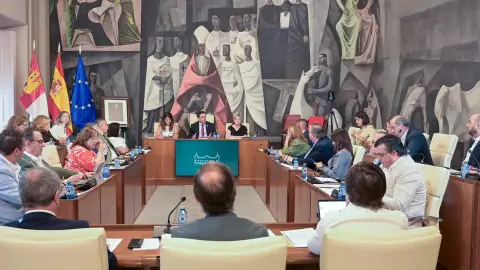 Pleno de la Diputación de Ciudad Real Pleno de la Diputación de Ciudad Real