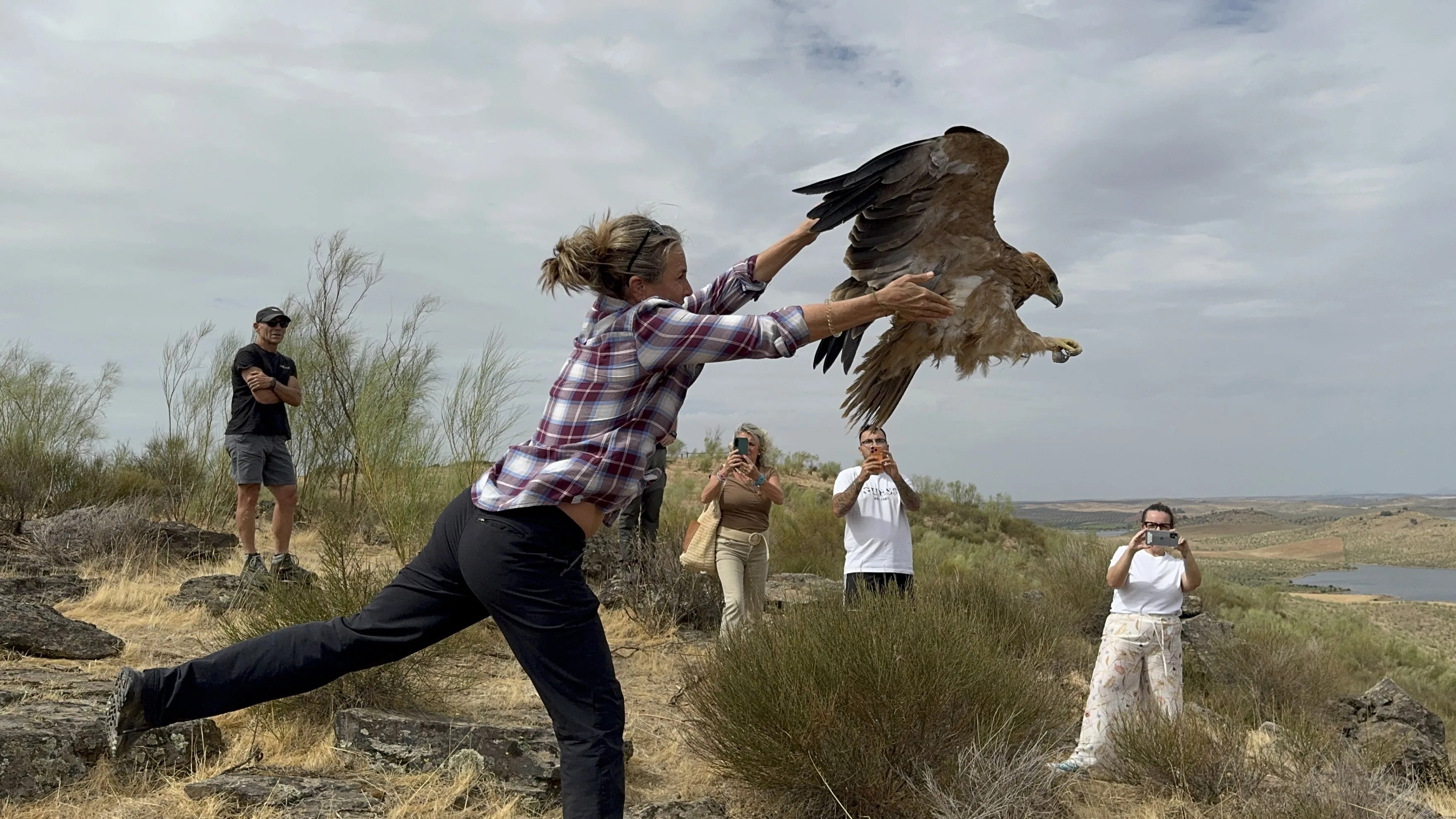 El aguila ibérica 'Félix' retoma el vuelo de la mano de Odile Rodríguez de la Fuente El aguila ibérica 'Félix' retoma el vuelo de la mano de Odile Rodríguez de la Fuente