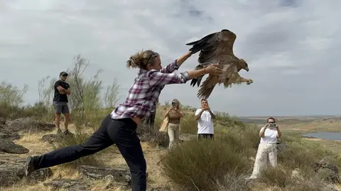 El aguila ibérica 'Félix' retoma el vuelo de la mano de Odile Rodríguez de la Fuente El aguila ibérica 'Félix' retoma el vuelo de la mano de Odile Rodríguez de la Fuente