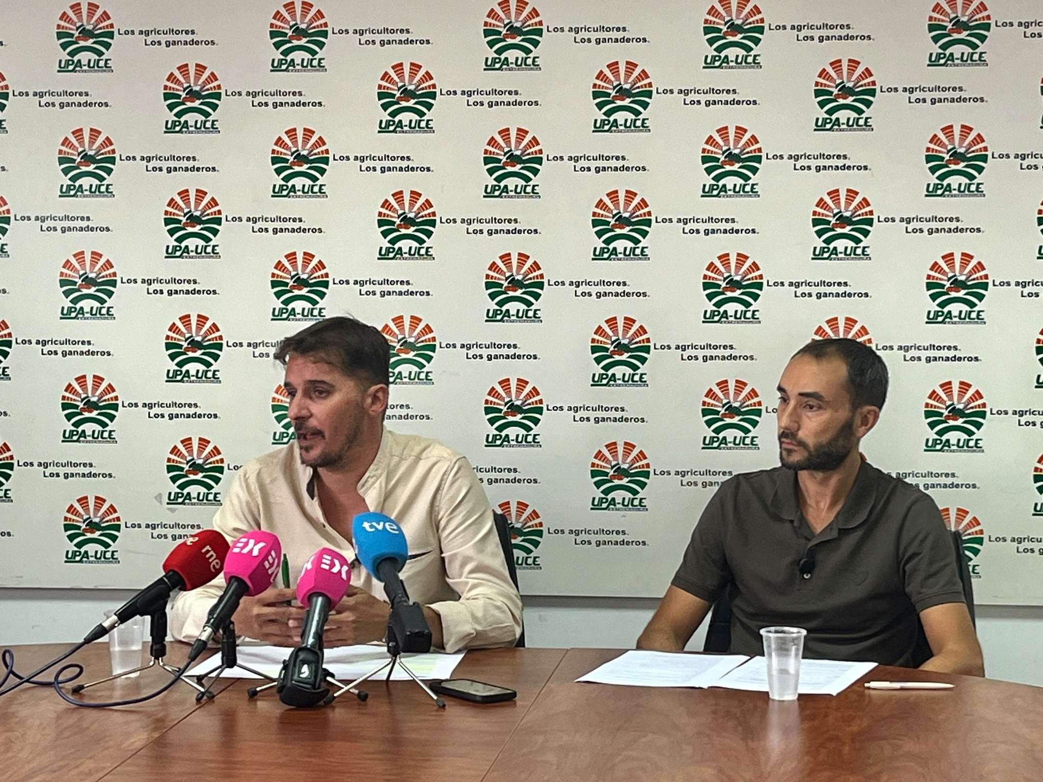 UPA-UCE Extremadura exige a la Consejería de Agricultura que actúe ante la situación de la aceituna de mesa manzanilla UPA-UCE Extremadura exige a la Consejería de Agricultura que actúe ante la situación de la aceituna de mesa manzanilla