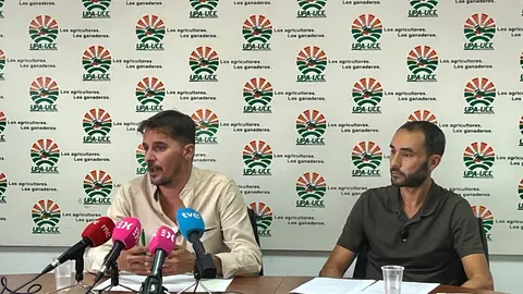 UPA-UCE Extremadura exige a la Consejería de Agricultura que actúe ante la situación de la aceituna de mesa manzanilla UPA-UCE Extremadura exige a la Consejería de Agricultura que actúe ante la situación de la aceituna de mesa manzanilla