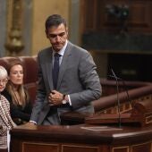 El presidente del Gobierno, Pedro Sánchez, interviene durante una sesión plenaria, en el Congreso de los Diputados