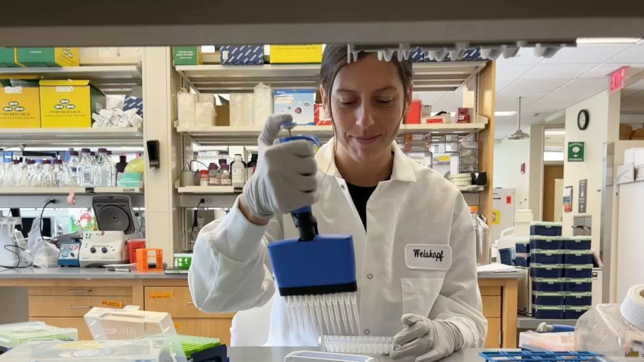 Una investigadora catalana treballa en una nova via per atacar el càncer activant els macròfags Una investigadora catalana treballa en una nova via per atacar el càncer activant els macròfags