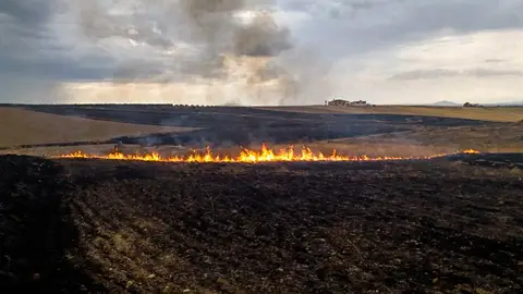 El Plan Infoex intervenía en 25 incendios forestales durante la última semana El Plan Infoex intervenía en 25 incendios forestales durante la última semana