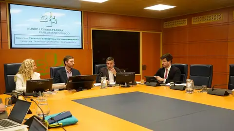 Mikel Jauregi comparece en el Parlamento Vasco Mikel Jauregi comparece en el Parlamento Vasco
