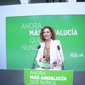 La secretaria general del PSOE-A, María Jesús Montero, durante una rueda de prensa en la sede regional del PSOE andaluz. A 6 de octubre de 2026 en Sevilla (Andalucía, España). La secretaria general del PSOE-A, María Jesús Montero, durante una rueda de prensa en la sede regional del PSOE andaluz. A 6 de octubre de 2026 en Sevilla (Andalucía, España).