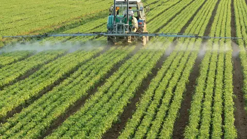 Fertilizantes Fertilizantes