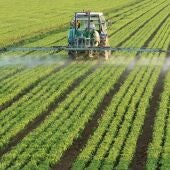 Fertilizantes
