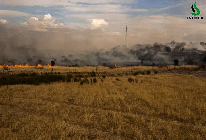 El Infoex tuvo que actuar este lunes en 3 incendios forestales en Guijo de Granadilla, Castilblanco y en Villagarcía de la Torre El Infoex tuvo que actuar este lunes en 3 incendios forestales en Guijo de Granadilla, Castilblanco y en Villagarcía de la Torre