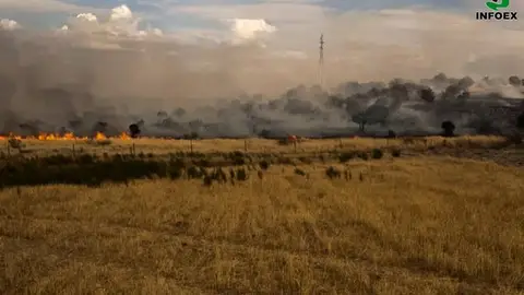 El Infoex tuvo que actuar este lunes en 3 incendios forestales en Guijo de Granadilla, Castilblanco y en Villagarcía de la Torre El Infoex tuvo que actuar este lunes en 3 incendios forestales en Guijo de Granadilla, Castilblanco y en Villagarcía de la Torre