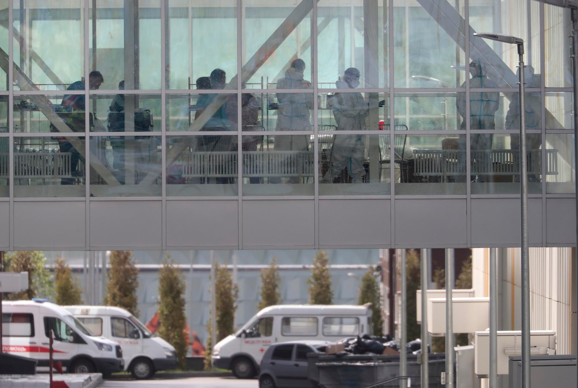 Qué se sabe de la alerta por peste en Rusia: muere una trabajadora de laboratorio y hay cientos de personas en cuarentena Qué se sabe de la alerta por peste en Rusia: muere una trabajadora de laboratorio y hay cientos de personas en cuarentena
