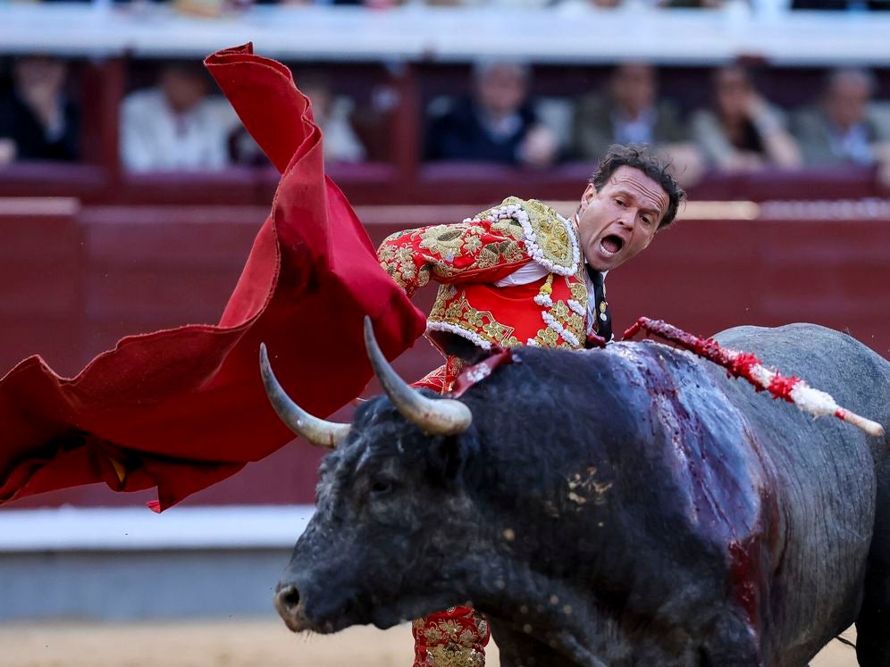 Antonio Ferrera, Cristina Sánchez, la Guardia civil y Don Benito, galardonados con los Premios Extremadura a la Tauromaquia 2025 Antonio Ferrera, Cristina Sánchez, la Guardia civil y Don Benito, galardonados con los Premios Extremadura a la Tauromaquia 2025